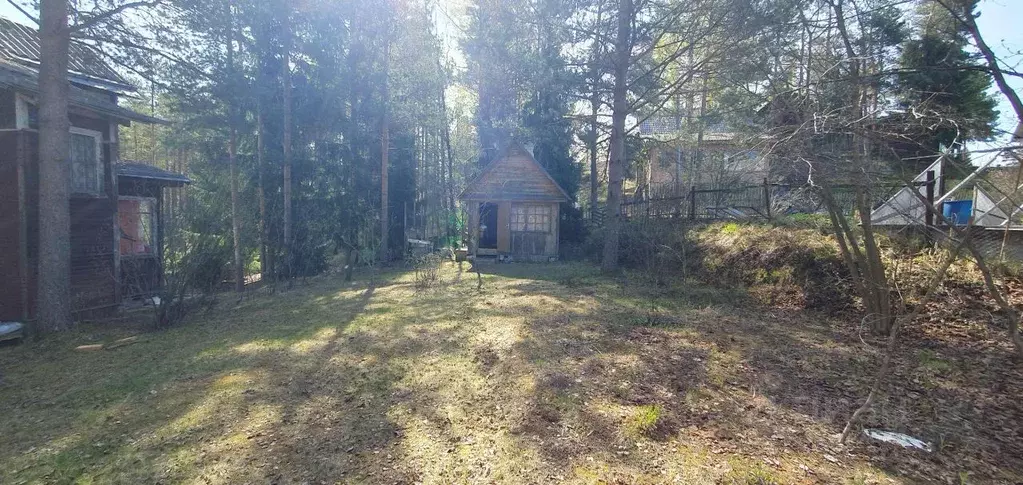 Участок в Ленинградская область, Приозерский район, Сосновское с/пос, ... - Фото 2