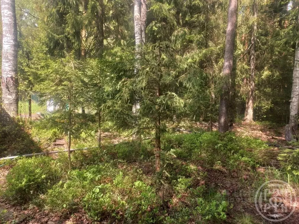 Дом в Ленинградская область, Выборгский район, Рощинское городское ... - Фото 1