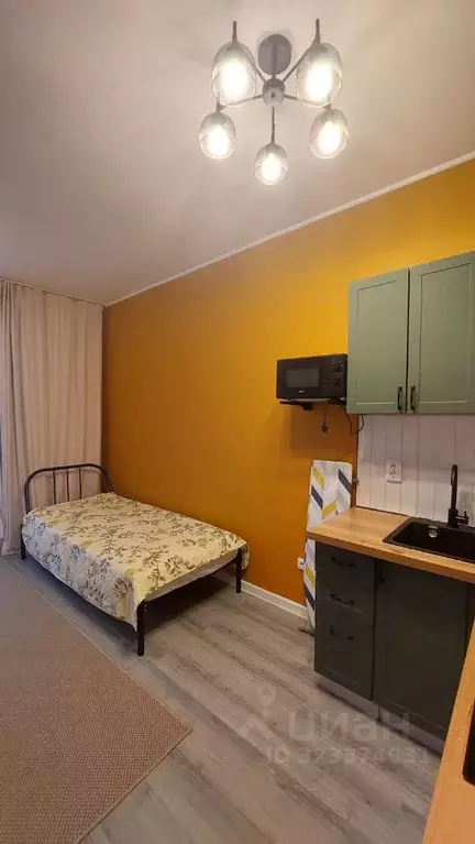 Студия Ленинградская область, Всеволожский район, пос. Бугры ул. ... - Фото 2