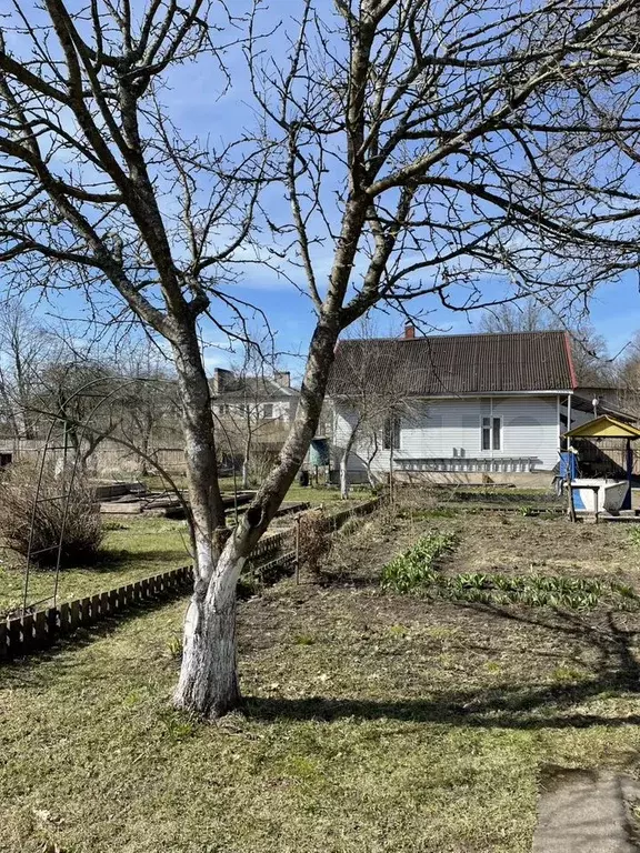 Дом 55,9 м на участке 16 сот. - Фото 1