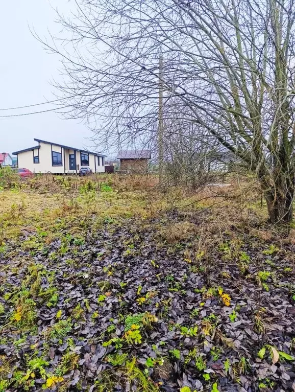 Участок в Ленинградская область, Гатчинский муниципальный округ, д. ... - Фото 2