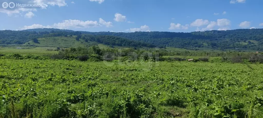 Участок в станица Даховская, Советская улица (9.33 м) - Фото 2