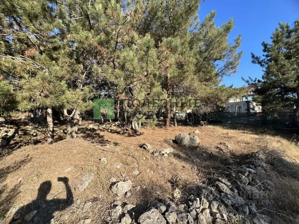 Участок в Севастополь Балаклавский муниципальный округ, Лазурь ТСН, 26 ... - Фото 2