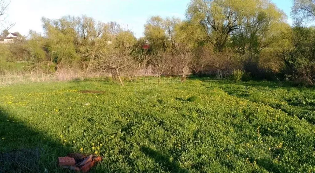 Участок в Владимирская область, Суздальский район, Новоалександровское ... - Фото 1