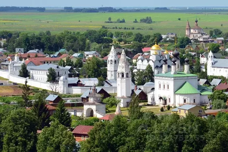 1-к кв. Владимирская область, Суздаль Советская ул., 45 (30.2 м) - Фото 1
