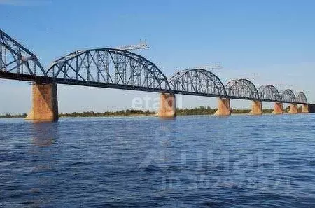 Участок в Амурская область, Благовещенск городской округ, с. Белогорье ... - Фото 0