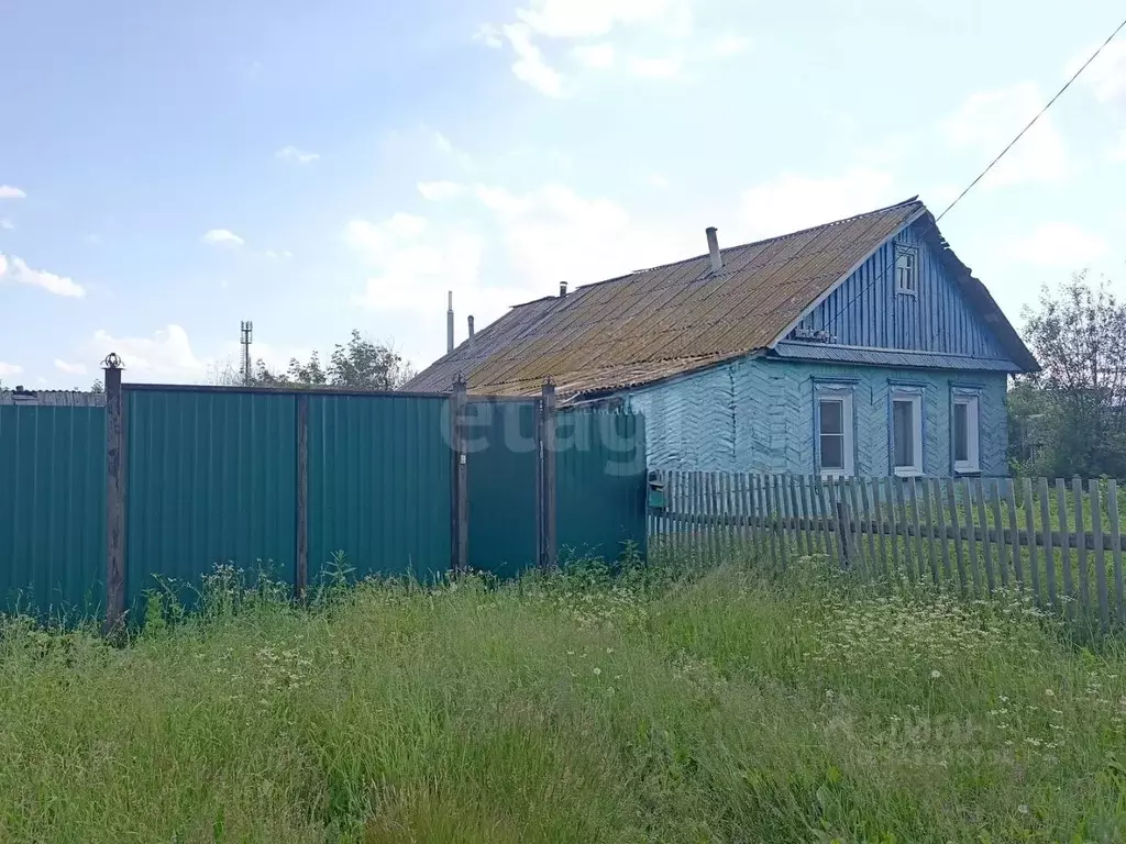 Дом в Челябинская область, Пласт Челябинский пер., 2 (76 м) - Фото 1