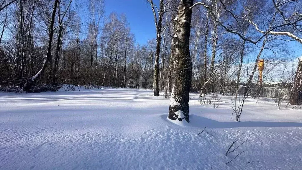 Участок в Московская область, Домодедово городской округ, д. Бехтеево ... - Фото 1