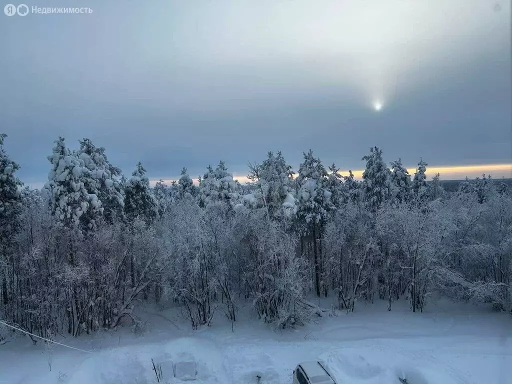 1-комнатная квартира: Усинск, Воркутинская улица, 39 (31.6 м) - Фото 1
