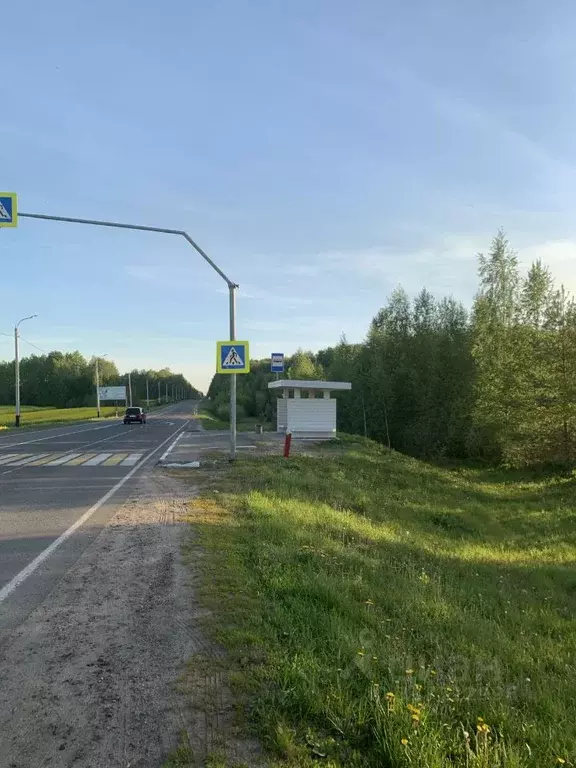 Участок в Ивановская область, Плес Приволжский район,  (2.6 га.) - Фото 2