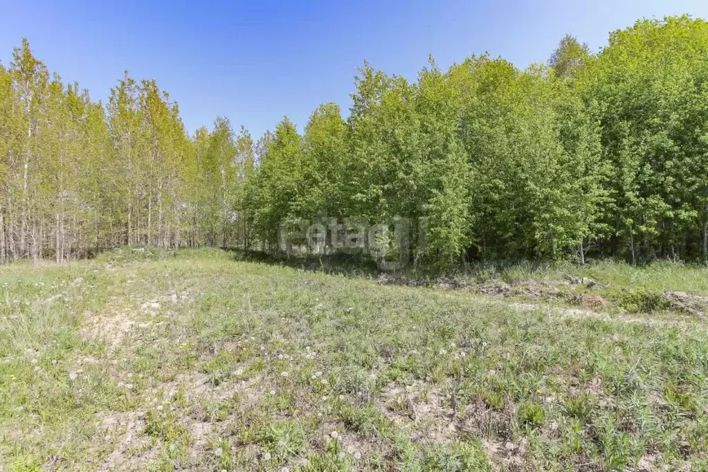 Участок в Тюменская область, Нижнетавдинский муниципальный округ, пос. ... - Фото 1