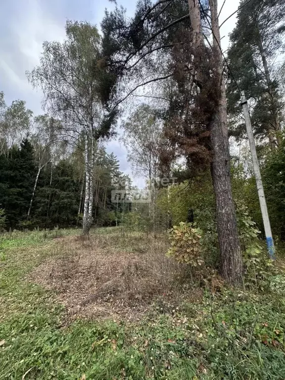 Участок в Московская область, Раменский муниципальный округ, Саврасово ... - Фото 1