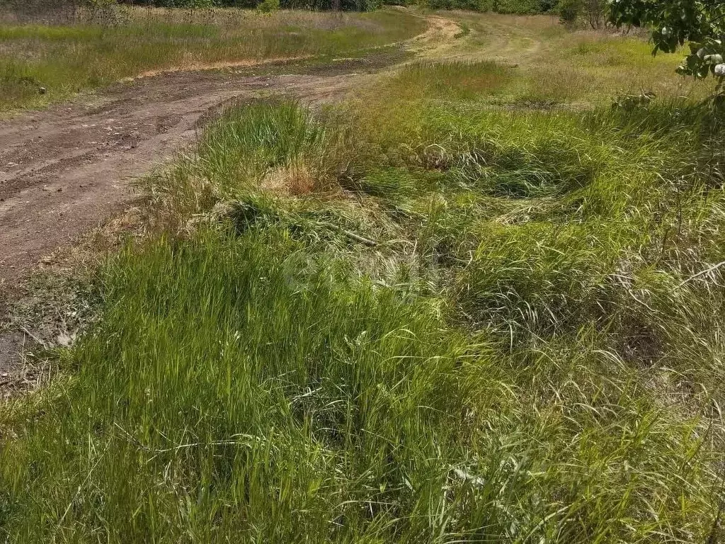 Участок в Крым, Кировский район, Синицынское с/пос, с. Васильковое ул. ... - Фото 1