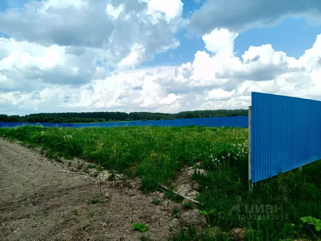Участок в Московская область, Можайский муниципальный округ, с. ... - Фото 1