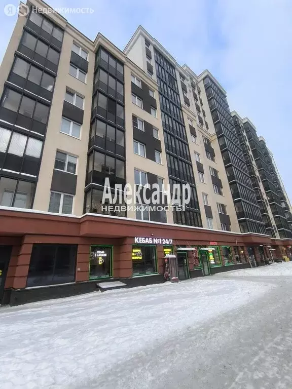 Квартира-студия: Мурино, улица Шувалова, 39 (24 м) - Фото 1