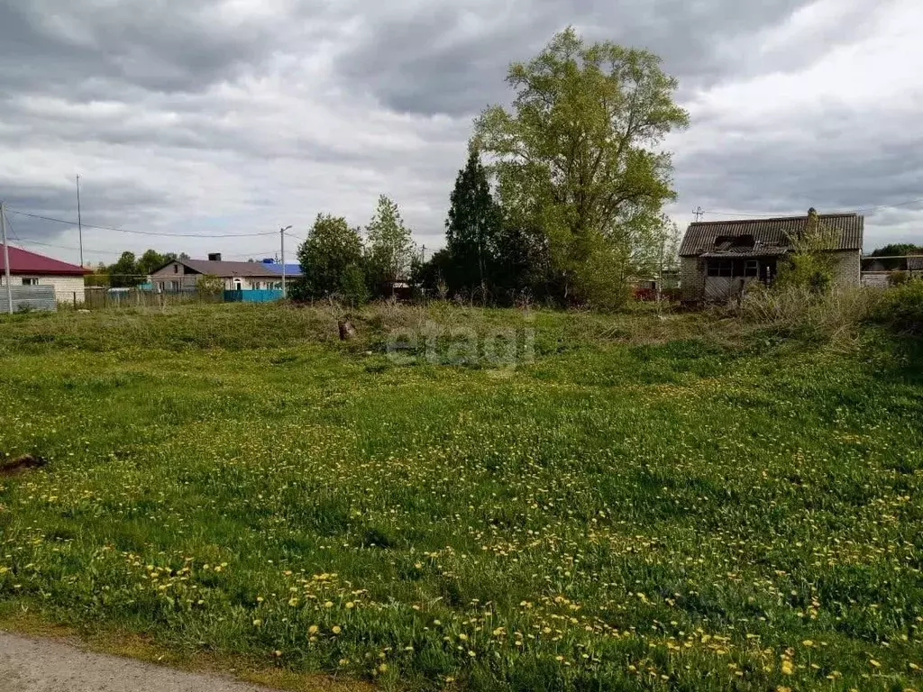 Участок в Татарстан, Бугульминский район, Карабаш муниципальное ... - Фото 1