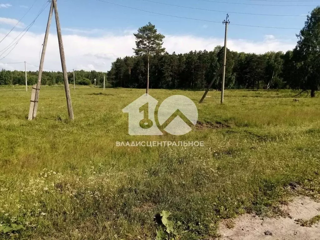 Участок в Новосибирская область, Мошковский район, с. Белоярка ул. ... - Фото 1