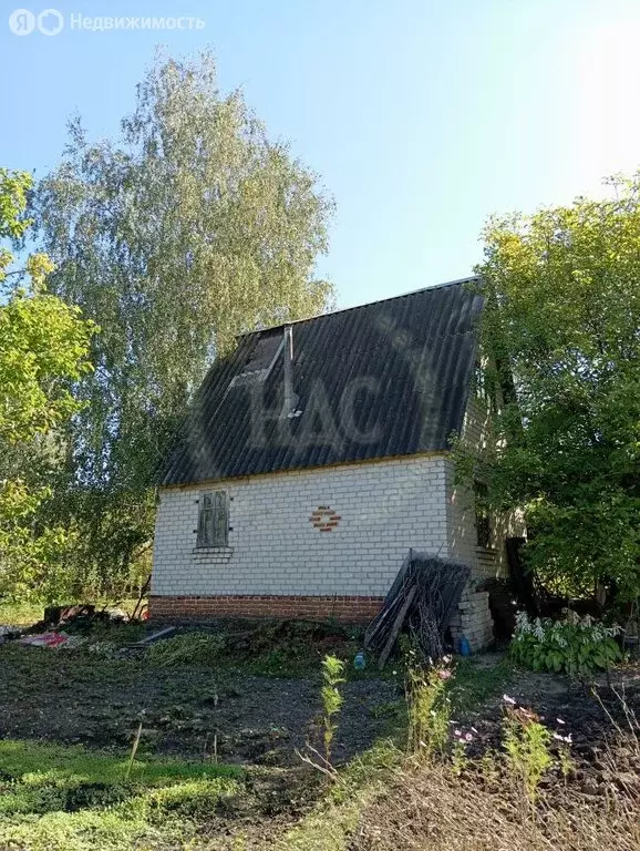 Участок в Курск, садовое товарищество Урожай, 141А (10.429999 м) - Фото 1