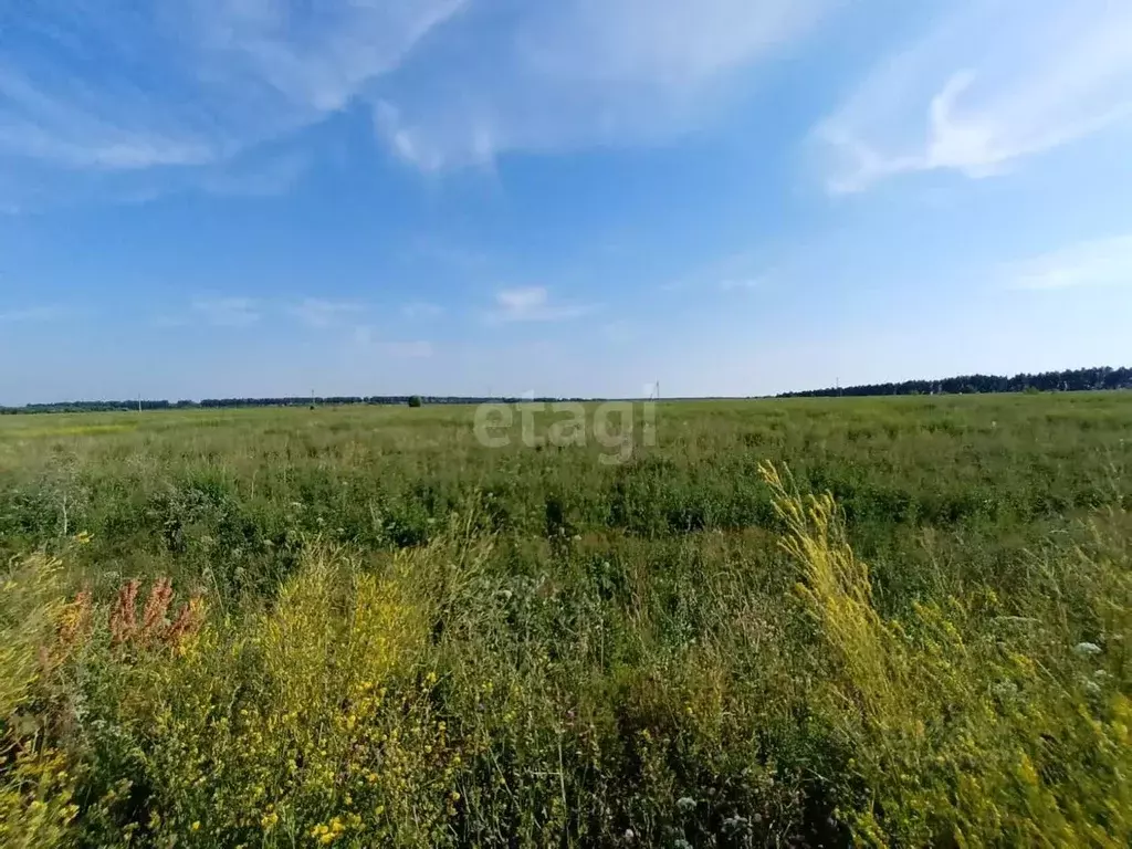 Участок в Нижегородская область, с. Дивеево ул. Дорожная (10.0 сот.) - Фото 0