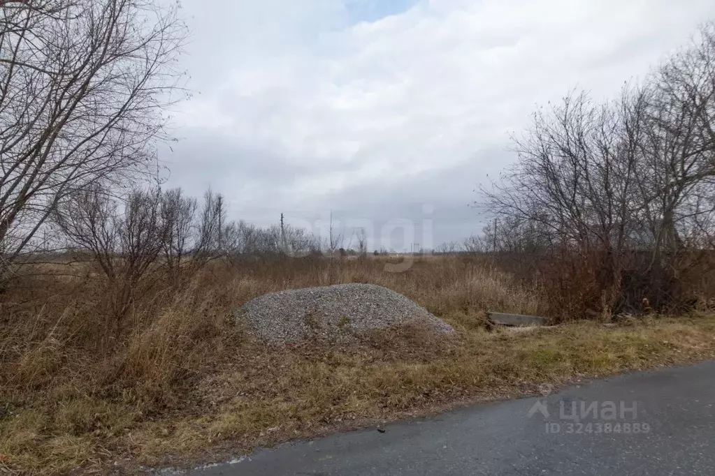 Участок в Тюменская область, Ярковский муниципальный округ, с. ... - Фото 1