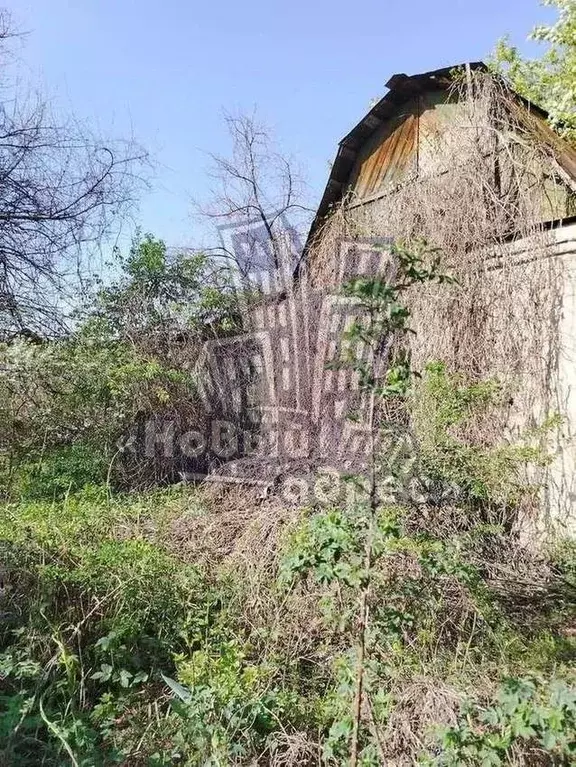 Участок в Воронежская область, Воронеж Садовод ВАСО СНТ,  (6.0 сот.) - Фото 0