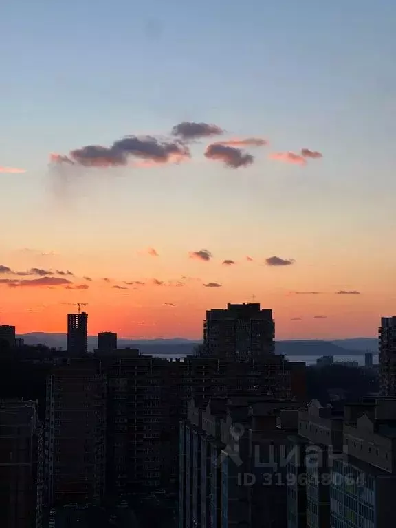 1-к кв. Приморский край, Владивосток ул. Анны Щетининой, 14 (38.0 м) - Фото 2