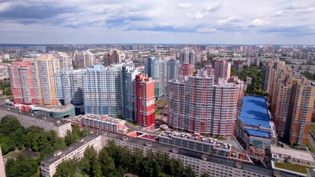 2-к кв. Санкт-Петербург ул. Кустодиева, 7к1 (79.88 м) - Фото 2