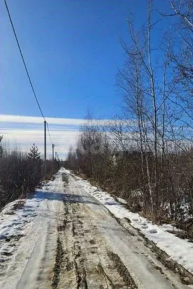Участок в Ленинградская область, Кировский район, Синявинское ... - Фото 2