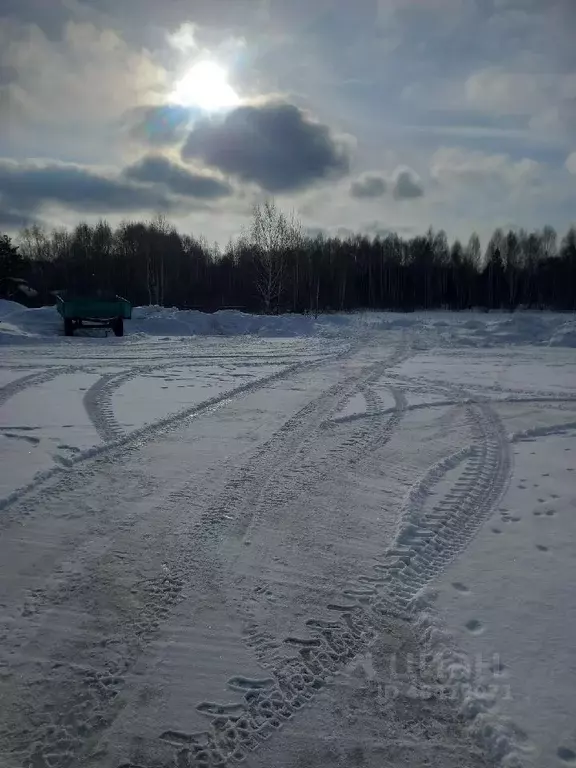 Участок в Свердловская область, Невьянский городской округ, пос. Аять ... - Фото 1