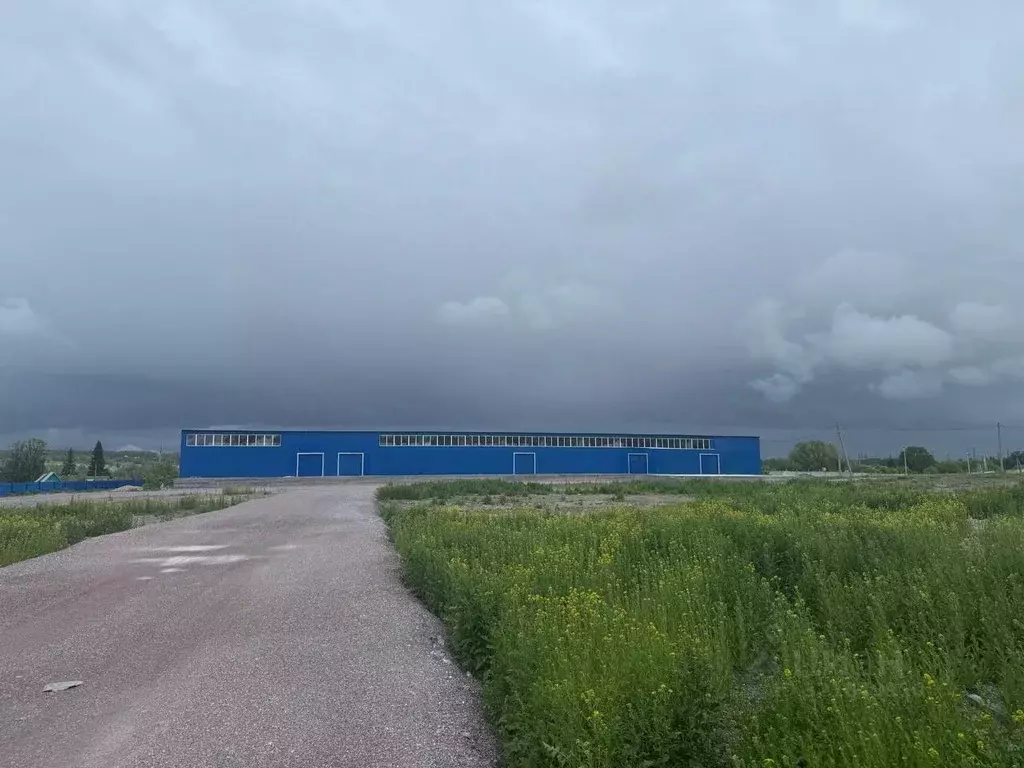Склад в Новосибирская область, Искитимский район, Чернореченский ... - Фото 0