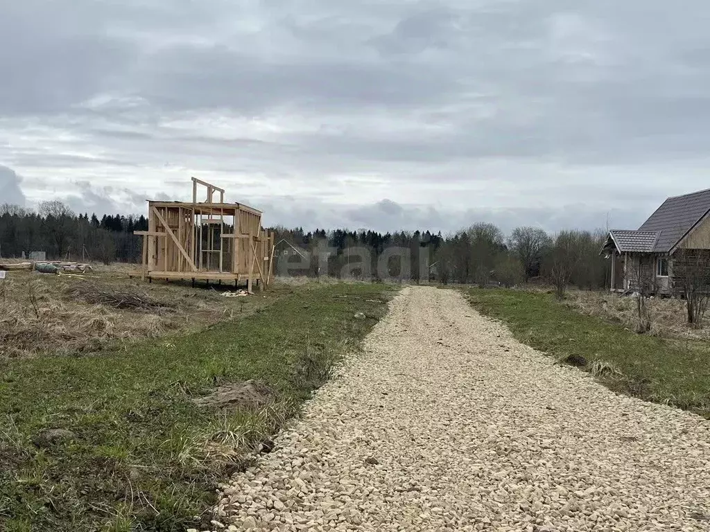 Участок в Ленинградская область, Ломоносовский район, Лопухинское ... - Фото 1