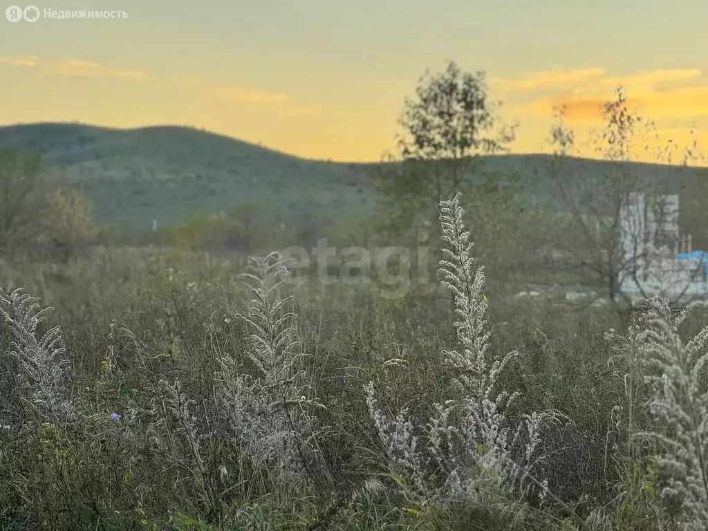 Участок в Алтайский район, Айский сельсовет, село Ая (6 м) - Фото 2