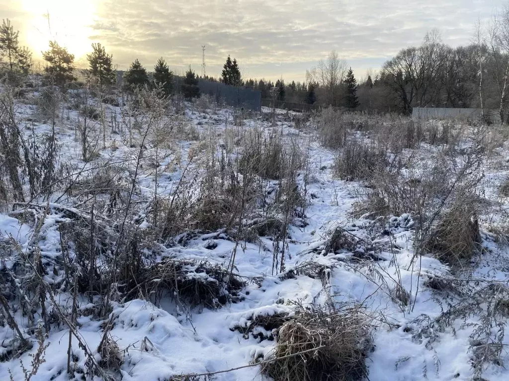 Участок в Московская область, Пушкинский городской округ, Русь СНТ  ... - Фото 2