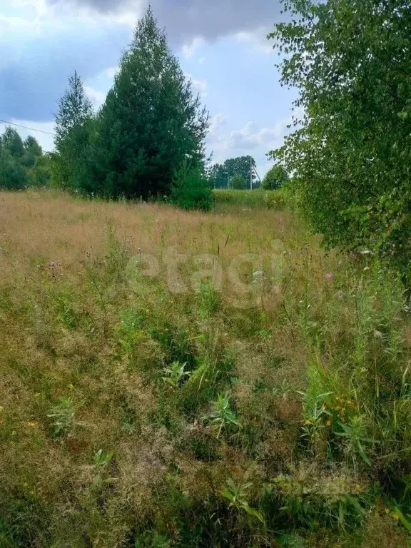 Участок в Кировская область, Киров городской округ, д. Эсауловы  (15.0 ... - Фото 1