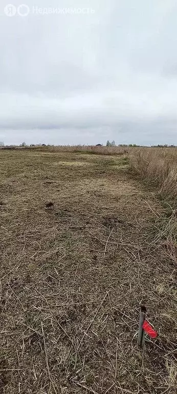 Участок в Тюменский муниципальный округ, товарищество собственников ... - Фото 1