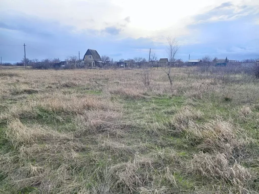 Участок в Саратовская область, Энгельсский район, Терновское ... - Фото 0
