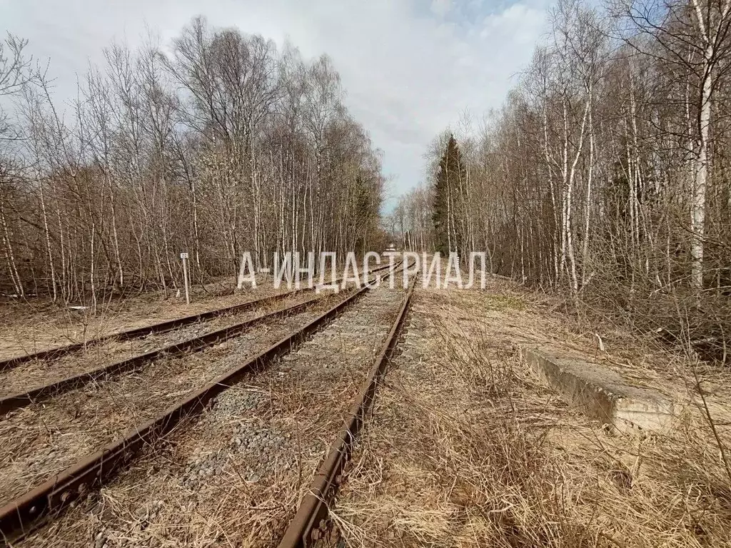 Участок в Москва № 144 кв-л, 1с1 (350.0 сот.) - Фото 2