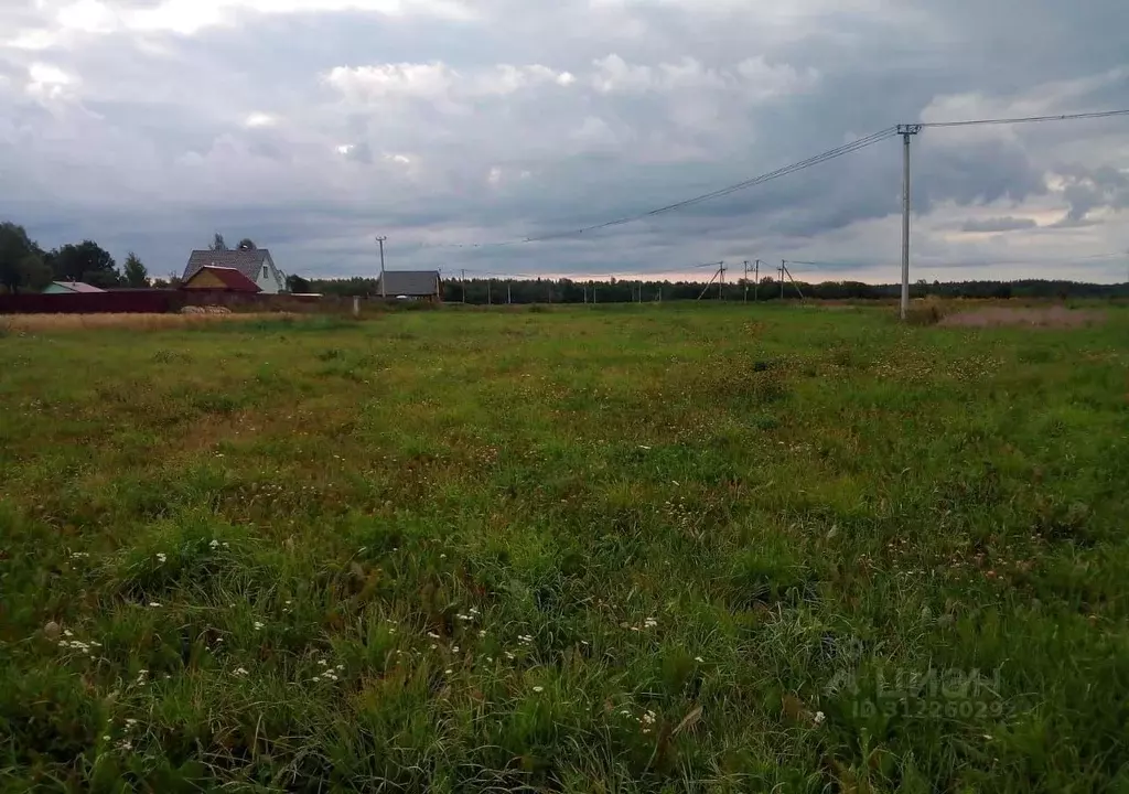 Участок в Ленинградская область, Волосовский район, Большеврудское ... - Фото 0