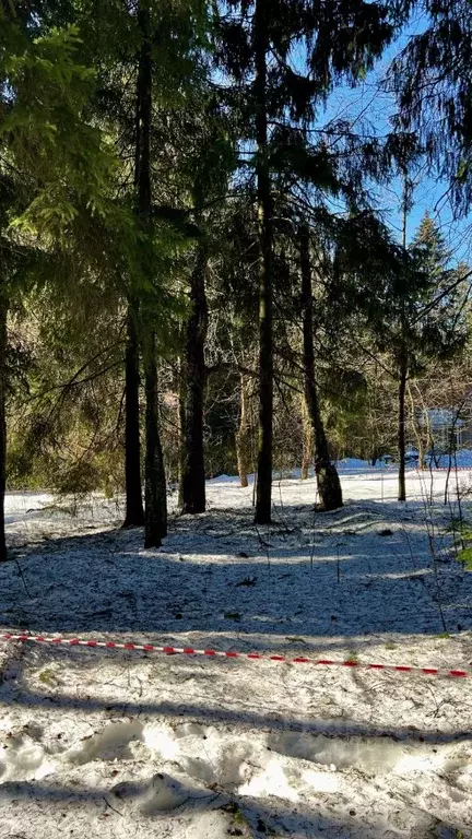 Участок в Московская область, Лобня Луговая мкр, Восточная ул., 10а ... - Фото 1