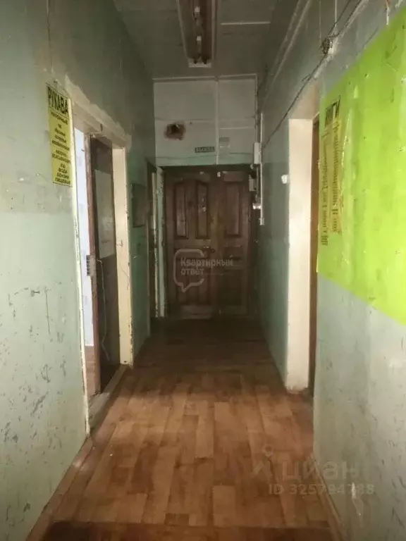 Офис в Владимирская область, Владимир ул. Горького, 57 (83 м) - Фото 2