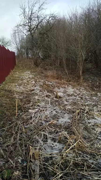 Участок в Калужская область, Козельский район, Каменка с/пос, д. ... - Фото 2