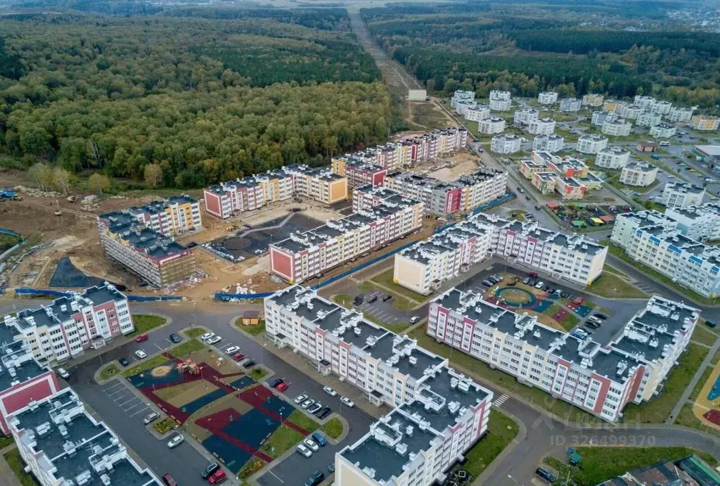 1-к кв. Московская область, Истра муниципальный округ, д. Черная ул. ... - Фото 2