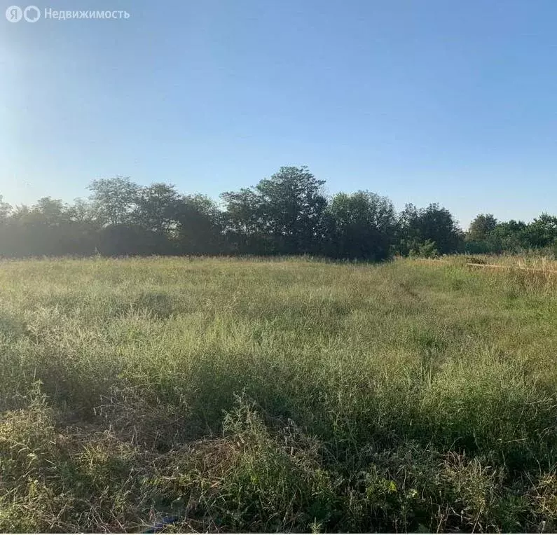 Участок в Новокубанск, улица Нева (7.88 м) - Фото 1