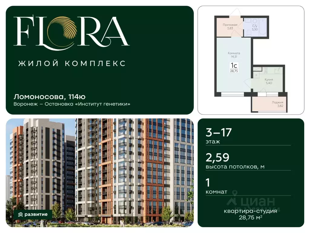 Студия Воронежская область, Воронеж ул. Ломоносова, 114Ю (28.75 м) - Фото 1