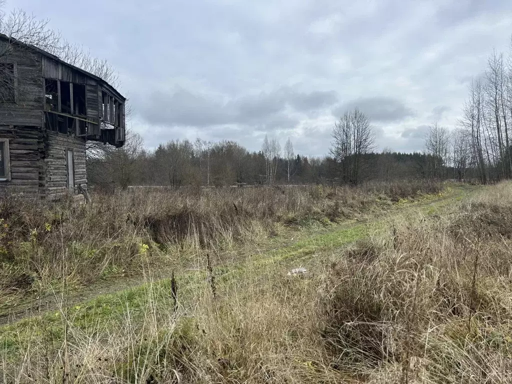 Участок в Владимирская область, Александровский муниципальный округ, ... - Фото 2