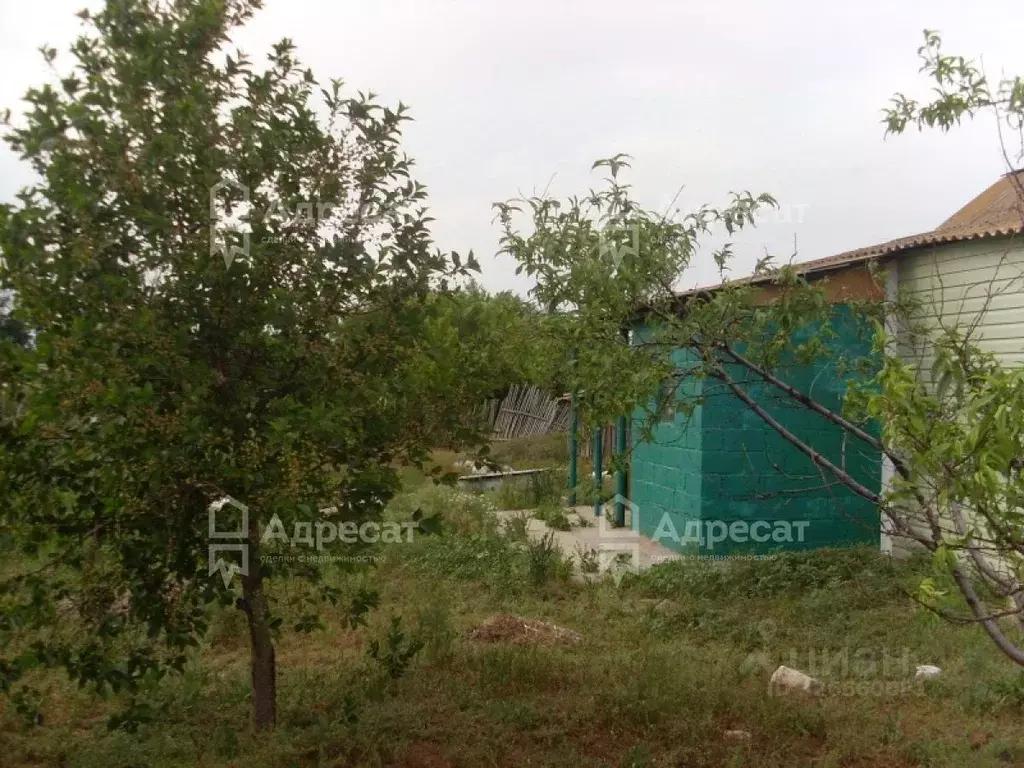 Дом в Волгоградская область, Светлоярский район, Приволжское с/пос, ... - Фото 2