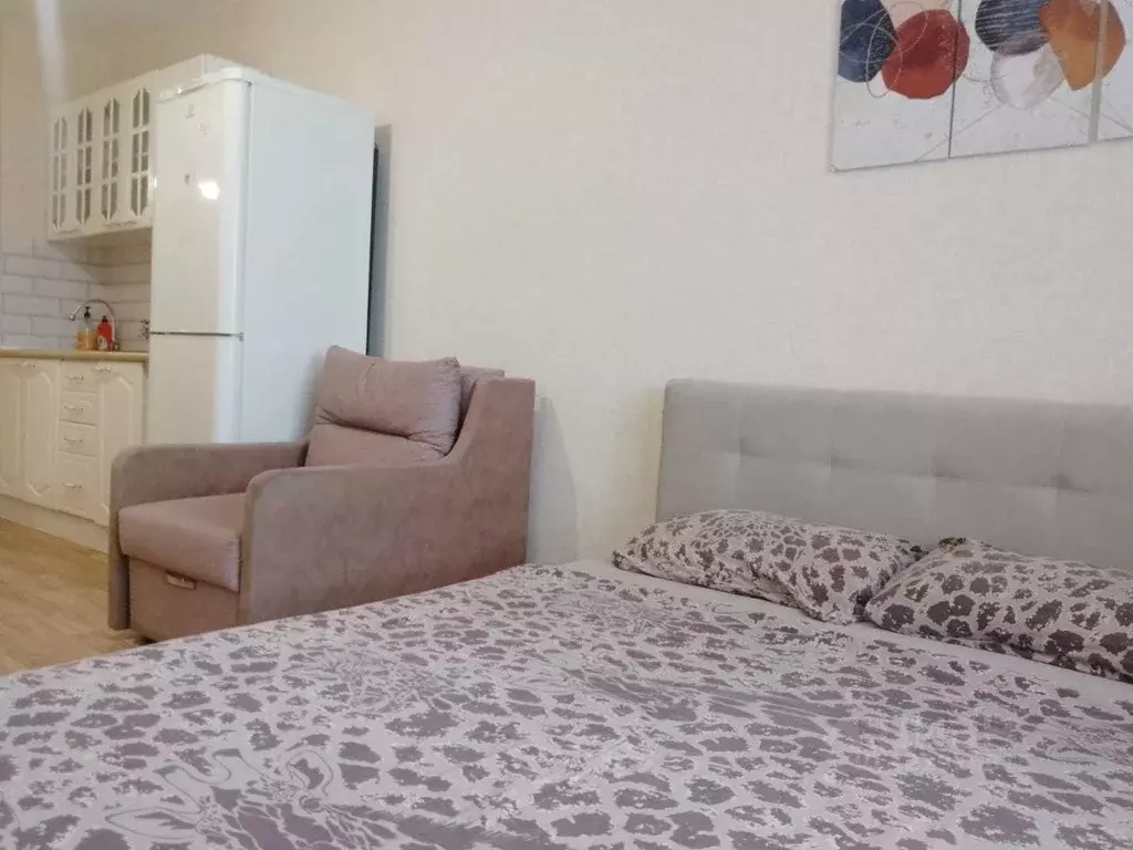 1-к кв. Томская область, Томск Большая Подгорная ул., 87блок4 (25.0 м) - Фото 2