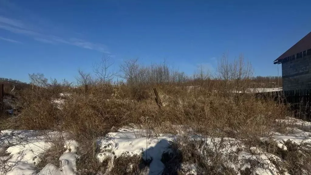 Участок в Амурская область, Благовещенский район, Звезда СТ  (9.0 ... - Фото 1