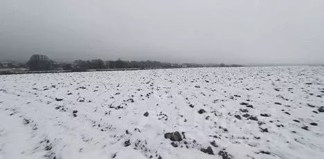 Участок в Московская область, Сергиево-Посадский городской округ, д. ... - Фото 2