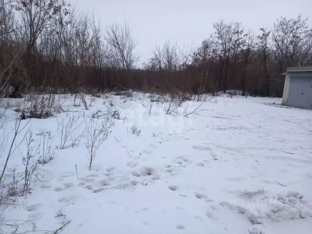 Участок в Белгородская область, Губкинский городской округ, с. Мелавое ... - Фото 1
